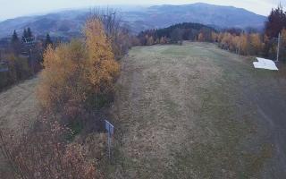 Laskowa - 02-11-2025 15:20