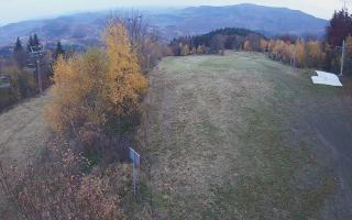 Laskowa - 02-11-2025 15:04