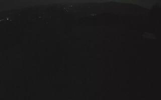 Laskowa - 02-11-2025 16:06