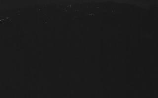 Laskowa - 02-11-2025 17:07