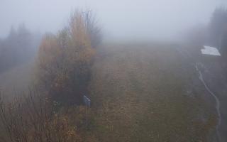 Laskowa - 03-11-2025 09:00