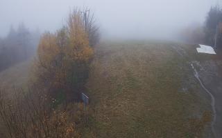 Laskowa - 03-11-2025 09:16