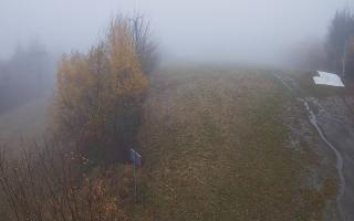 Laskowa - 03-11-2025 09:31