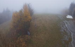 Laskowa - 03-11-2025 09:46