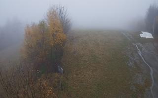 Laskowa - 03-11-2025 10:17