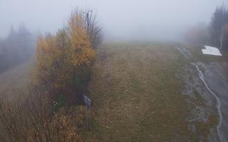 Laskowa - 03-11-2025 10:02