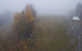 Laskowa - 03-11-2025 10:33