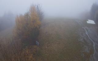 Laskowa - 03-11-2025 10:48