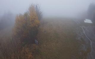 Laskowa - 03-11-2025 11:19