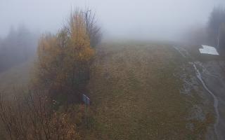 Laskowa - 03-11-2025 11:03