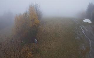 Laskowa - 03-11-2025 12:05