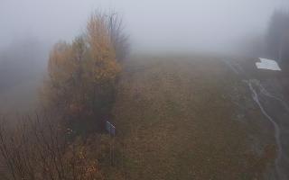 Laskowa - 03-11-2025 14:54