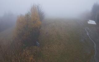 Laskowa - 03-11-2025 07:44