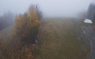 Laskowa - 03-11-2025 08:14