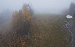 Laskowa - 03-11-2025 08:30