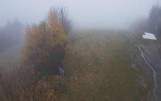 Laskowa - 03-11-2025 08:45