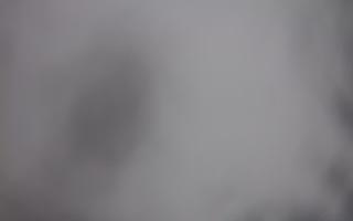 Laskowa - 29-01-2026 13:00