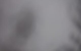 Laskowa - 29-01-2026 14:34