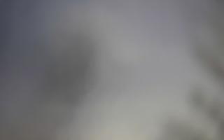 Laskowa - 29-01-2026 15:50