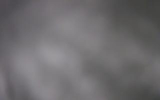 Laskowa - 01-02-2026 16:35