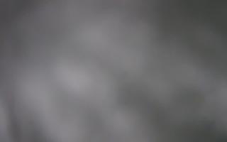 Laskowa - 01-02-2026 16:05