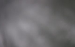 Laskowa - 01-02-2026 17:52