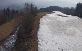 Laskowa - 16-03-2026 09:20