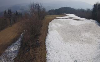 Laskowa - 16-03-2026 10:21