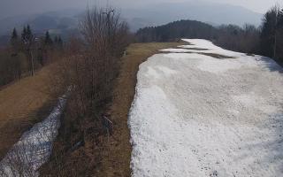 Laskowa - 16-03-2026 10:36