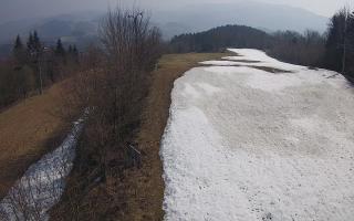 Laskowa - 16-03-2026 10:06