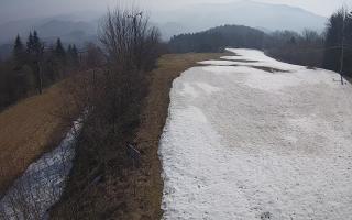 Laskowa - 16-03-2026 08:49