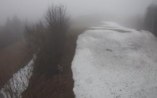 Laskowa - 17-03-2026 09:17