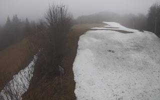 Laskowa - 17-03-2026 09:32