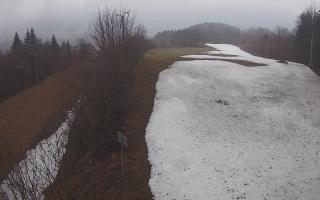 Laskowa - 17-03-2026 09:48