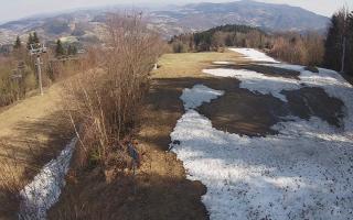 Laskowa - 21-03-2026 13:07