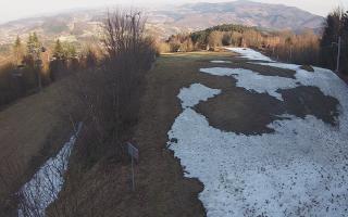 Laskowa - 21-03-2026 15:10