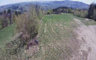 Laskowa - 03-05-2026 10:29
