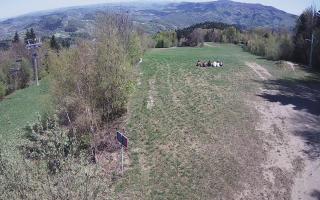 Laskowa - 03-05-2026 12:32