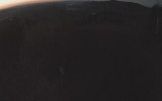 Laskowa - 03-05-2026 02:17
