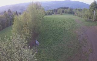 Laskowa - 13-05-2026 04:12