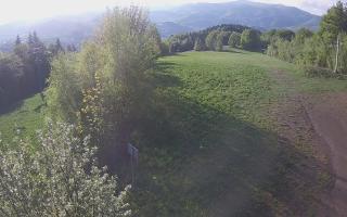 Laskowa - 13-05-2026 04:42