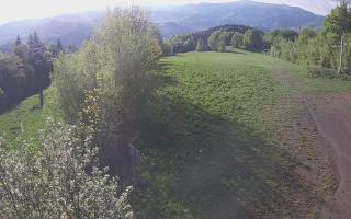 Laskowa - 13-05-2026 04:58