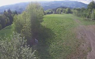 Laskowa - 13-05-2026 05:44