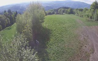 Laskowa - 13-05-2026 05:59