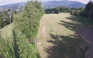 Laskowa - 12-06-2026 14:47