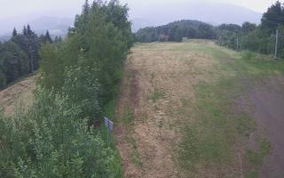 Laskowa - 17-06-2026 09:19