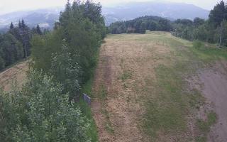 Laskowa - 17-06-2026 10:05