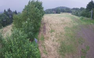 Laskowa - 17-06-2026 11:53