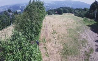 Laskowa - 17-06-2026 12:23