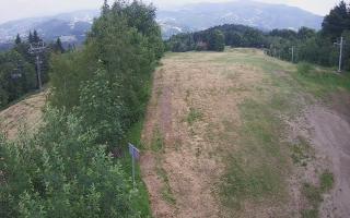 Laskowa - 17-06-2026 12:54